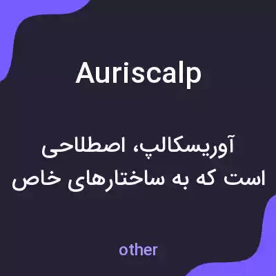 معنی auriscalp به فارسی معنی auriscalp به فارسی