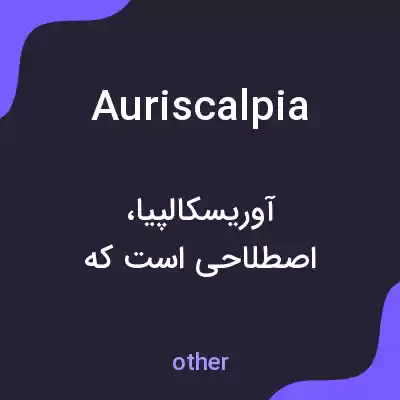 معنی auriscalpia به فارسی معنی auriscalpia به فارسی