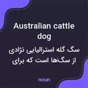 معنی australian cattle dog به فارسی معنی australian cattle dog به فارسی