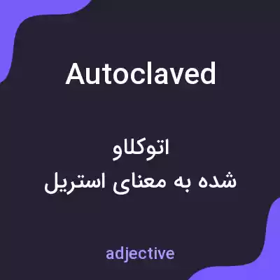 معنی autoclaved به فارسی معنی autoclaved به فارسی