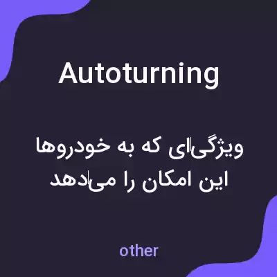 معنی autoturning به فارسی معنی autoturning به فارسی