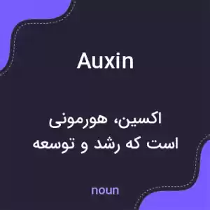 معنی auxin به فارسی معنی auxin به فارسی