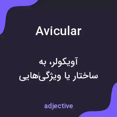 معنی avicular به فارسی معنی avicular به فارسی