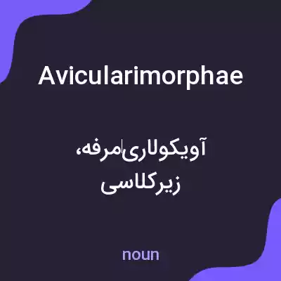 معنی avicularimorphae به فارسی معنی avicularimorphae به فارسی