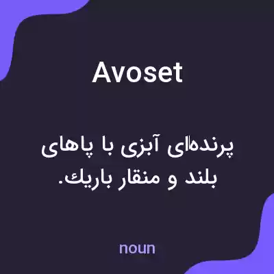 معنی avoset به فارسی معنی avoset به فارسی