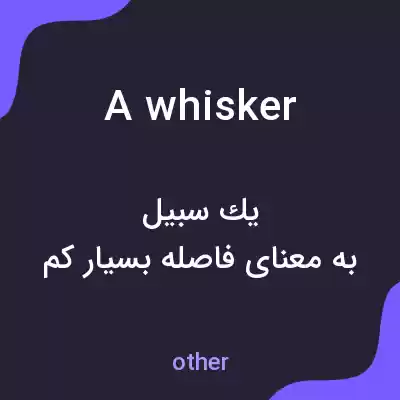 معنی a whisker به فارسی معنی a whisker به فارسی