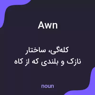 معنی awn به فارسی