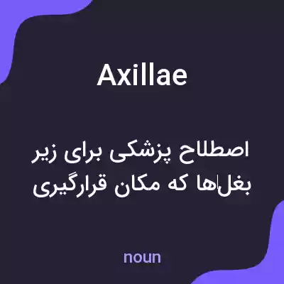 معنی axillae به فارسی