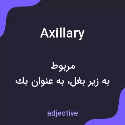 معنی axillary به فارسی معنی axillary به فارسی