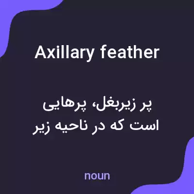 معنی axillary feather به فارسی معنی axillary feather به فارسی
