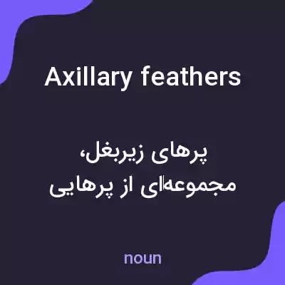 معنی axillary feathers به فارسی معنی axillary feathers به فارسی