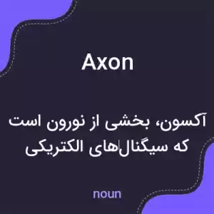 معنی axon به فارسی معنی axon به فارسی