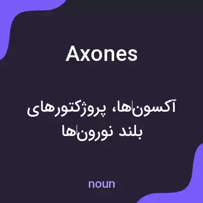 معنی axones به فارسی