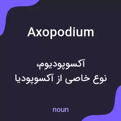 معنی axopodium به فارسی معنی axopodium به فارسی