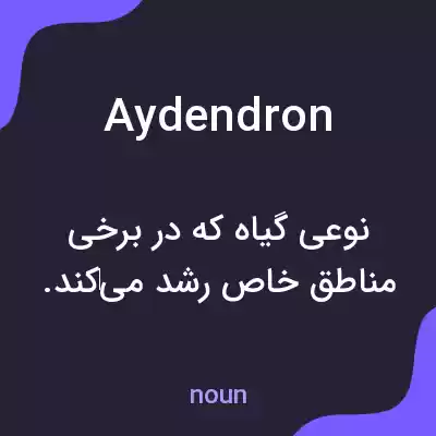 معنی aydendron به فارسی معنی aydendron به فارسی