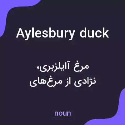 معنی aylesbury duck به فارسی معنی aylesbury duck به فارسی