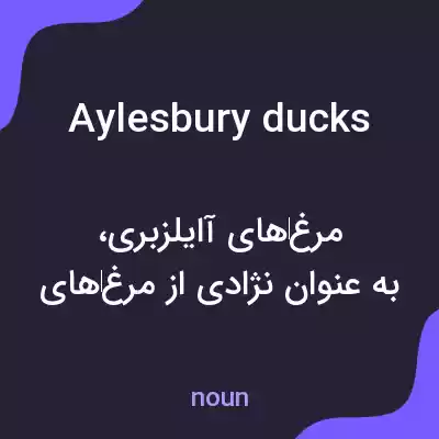 معنی aylesbury ducks به فارسی معنی aylesbury ducks به فارسی
