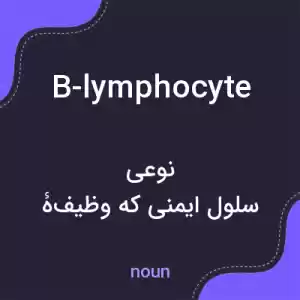 معنی b-lymphocyte به فارسی معنی b-lymphocyte به فارسی