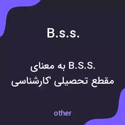 معنی b.s.s. به فارسی معنی b.s.s. به فارسی