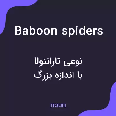 معنی baboon spiders به فارسی معنی baboon spiders به فارسی