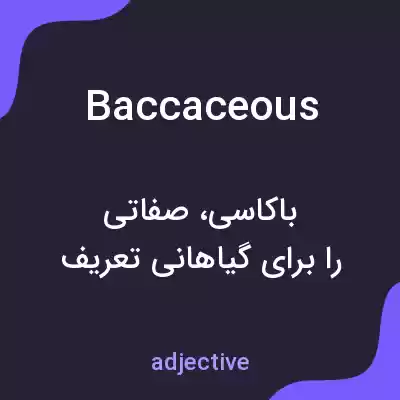 معنی baccaceous به فارسی معنی baccaceous به فارسی