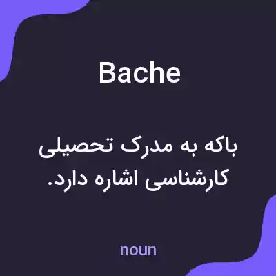 معنی bache به فارسی معنی bache به فارسی