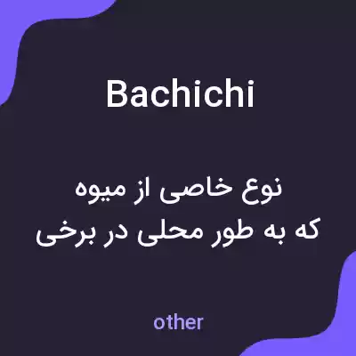 معنی bachichi به فارسی معنی bachichi به فارسی