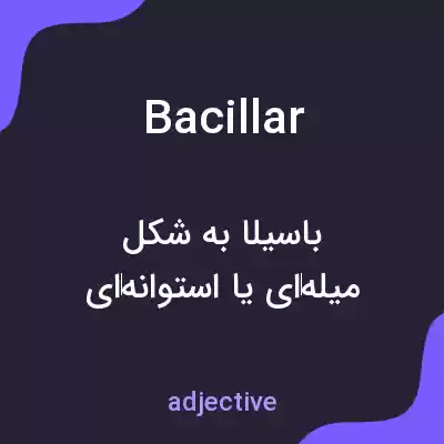 معنی bacillar به فارسی معنی bacillar به فارسی