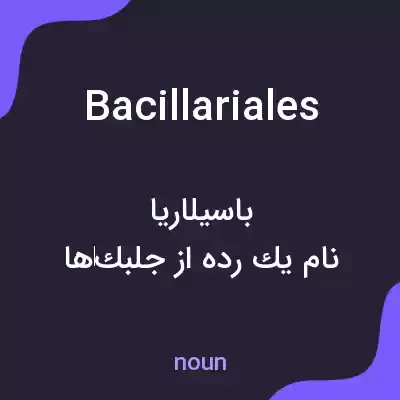 معنی bacillariales به فارسی معنی bacillariales به فارسی