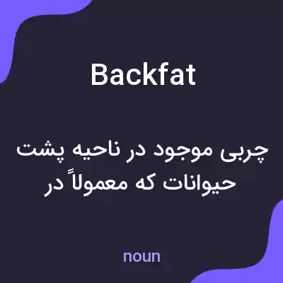 معنی back fat به فارسی