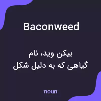 معنی baconweed به فارسی معنی baconweed به فارسی