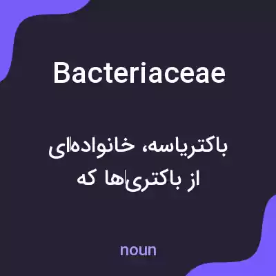 معنی bacteriaceae به فارسی معنی bacteriaceae به فارسی