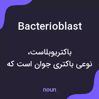 معنی bacterioblast به فارسی