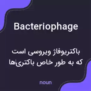 معنی bacteriophage به فارسی معنی bacteriophage به فارسی