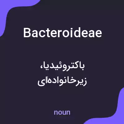 معنی bacteroideae به فارسی معنی bacteroideae به فارسی