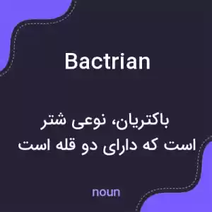 معنی bactrian به فارسی