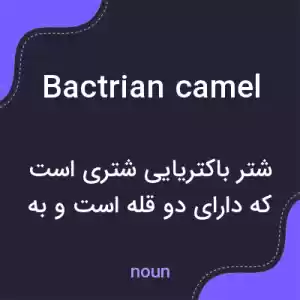 معنی bactrian camel به فارسی معنی bactrian camel به فارسی