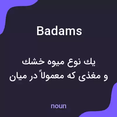 معنی badams به فارسی معنی badams به فارسی