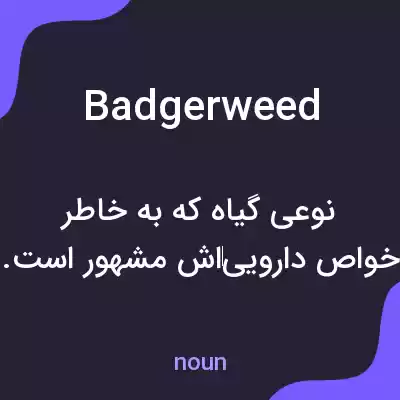 معنی badgerweed به فارسی معنی badgerweed به فارسی