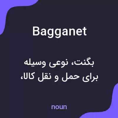 معنی bagganet به فارسی معنی bagganet به فارسی