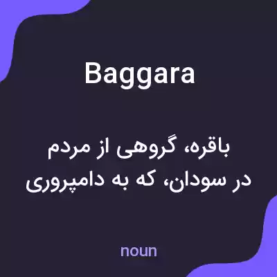 معنی baggara به فارسی معنی baggara به فارسی