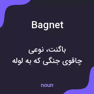 معنی bagnet به فارسی معنی bagnet به فارسی