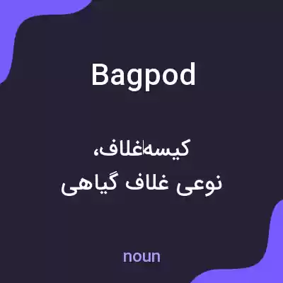 معنی bagpod به فارسی معنی bagpod به فارسی