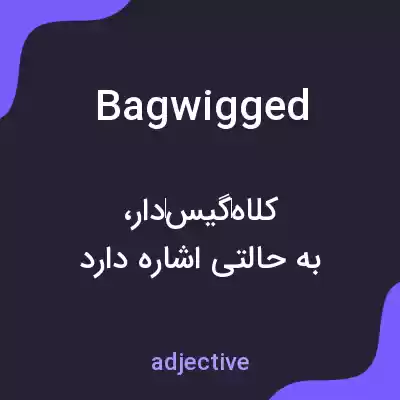 معنی bagwigged به فارسی معنی bagwigged به فارسی