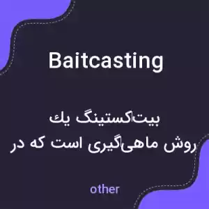 معنی baitcasting به فارسی معنی baitcasting به فارسی