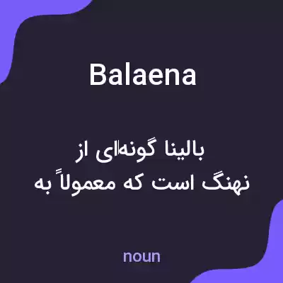 معنی balaena به فارسی