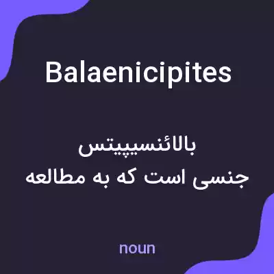 معنی balaenicipites به فارسی معنی balaenicipites به فارسی