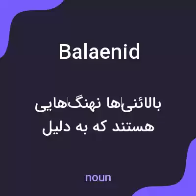 معنی balaenid به فارسی