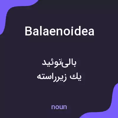 معنی balaenoidea به فارسی معنی balaenoidea به فارسی