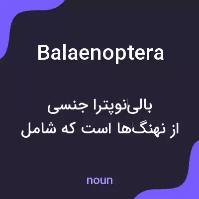 معنی balaenoptera به فارسی معنی balaenoptera به فارسی